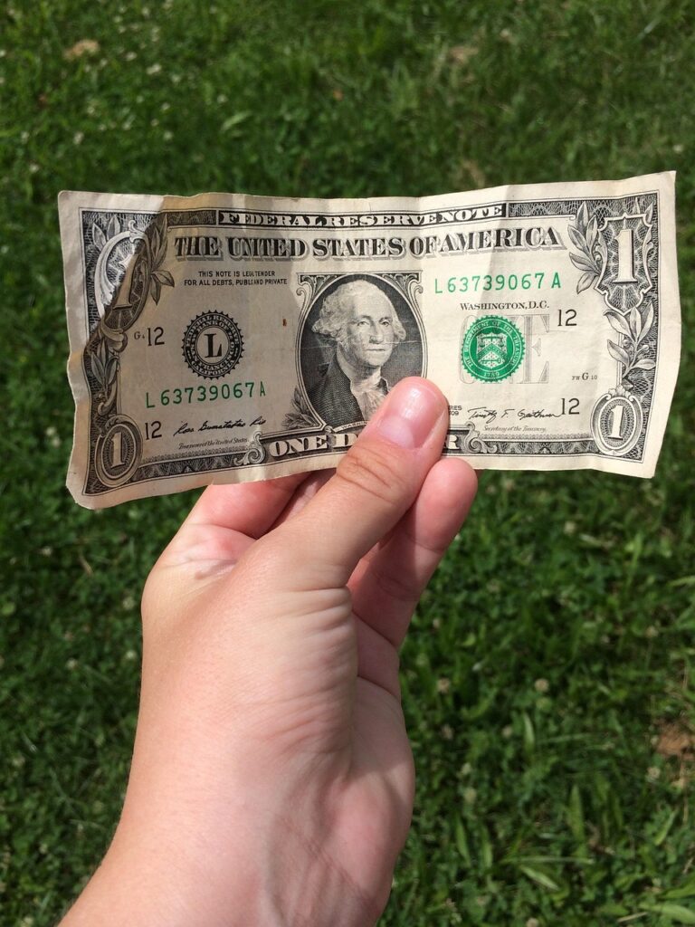 dollar bill, hand, grass, nature, money, cash, green money